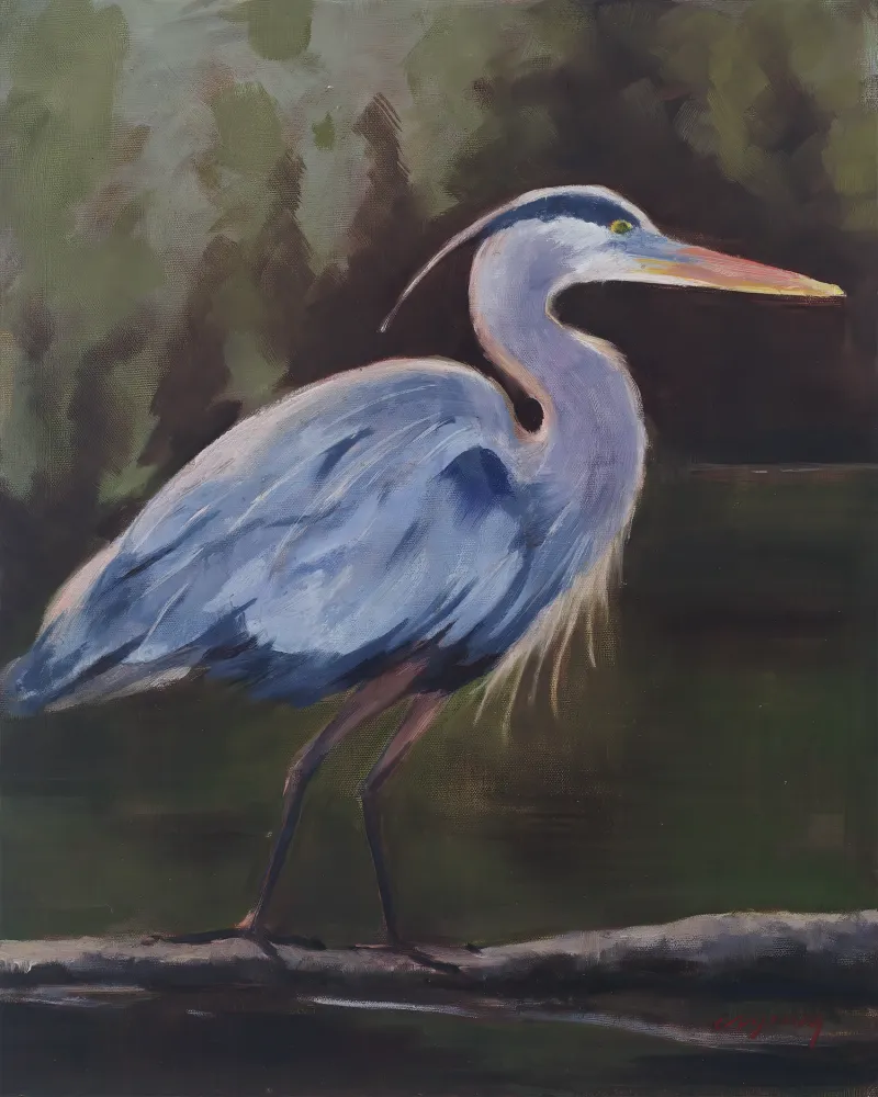 Heron, oil painting by Christy Young